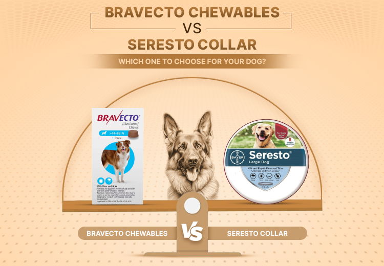 OPW-Blog-Bravecto vs Seresto-3_07182024_035949.jpg